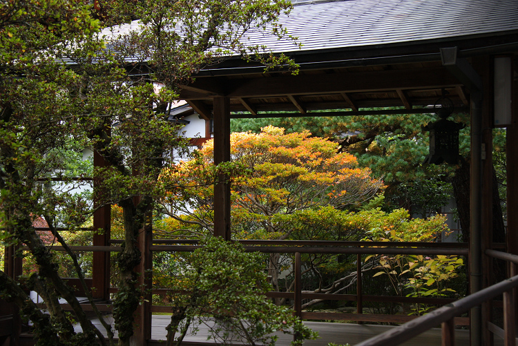 紅葉の妙心寺 －大心院－_b0169330_15311043.jpg