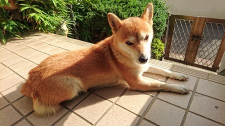 b0207632_20121657.jpg