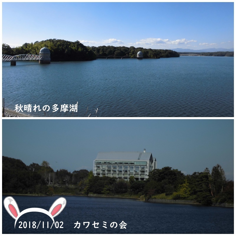f0120433_18043975.jpg