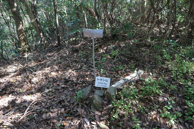 e0272335_17384597.jpg