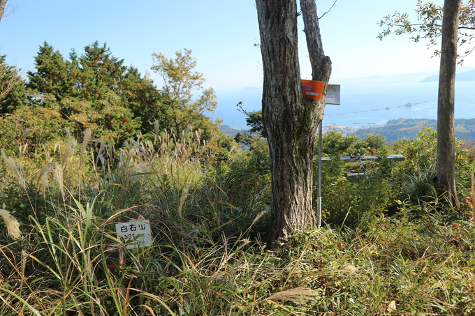 里山歩き・（トギシ山で冬の花蕨）＆（白石山でコウヤボウキ）を楽しむ！_e0272335_17584266.jpg