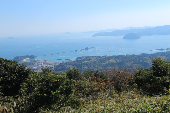 里山歩き・（トギシ山で冬の花蕨）＆（白石山でコウヤボウキ）を楽しむ！_e0272335_1805210.jpg