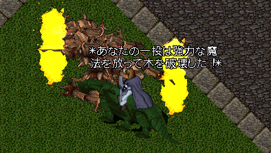 b0402739_21290274.png