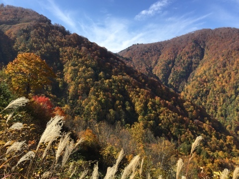 白山白川郷ホワイトロード_f0233340_14451897.jpg