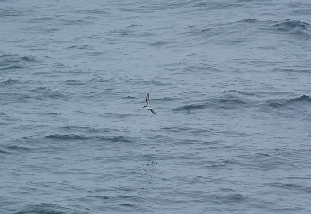 c0349842_14480465.jpg