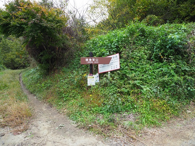 e0272042_17350514.jpg