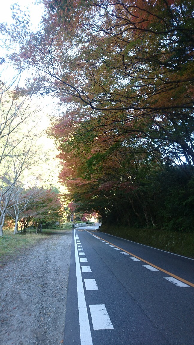 a0201743_10421338.jpg