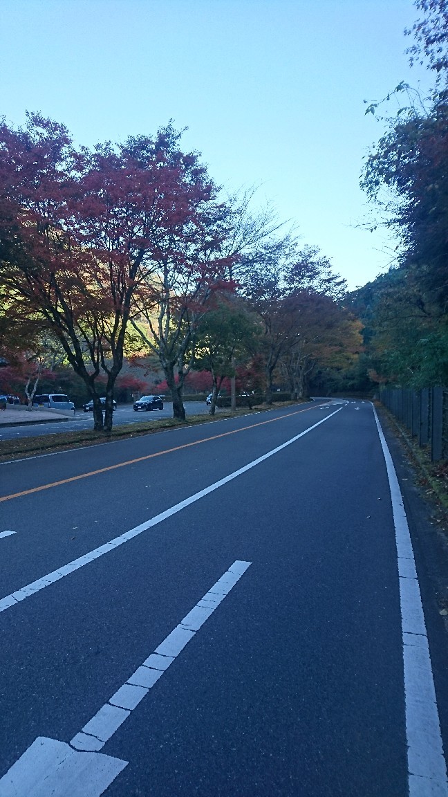 a0201743_10421444.jpg