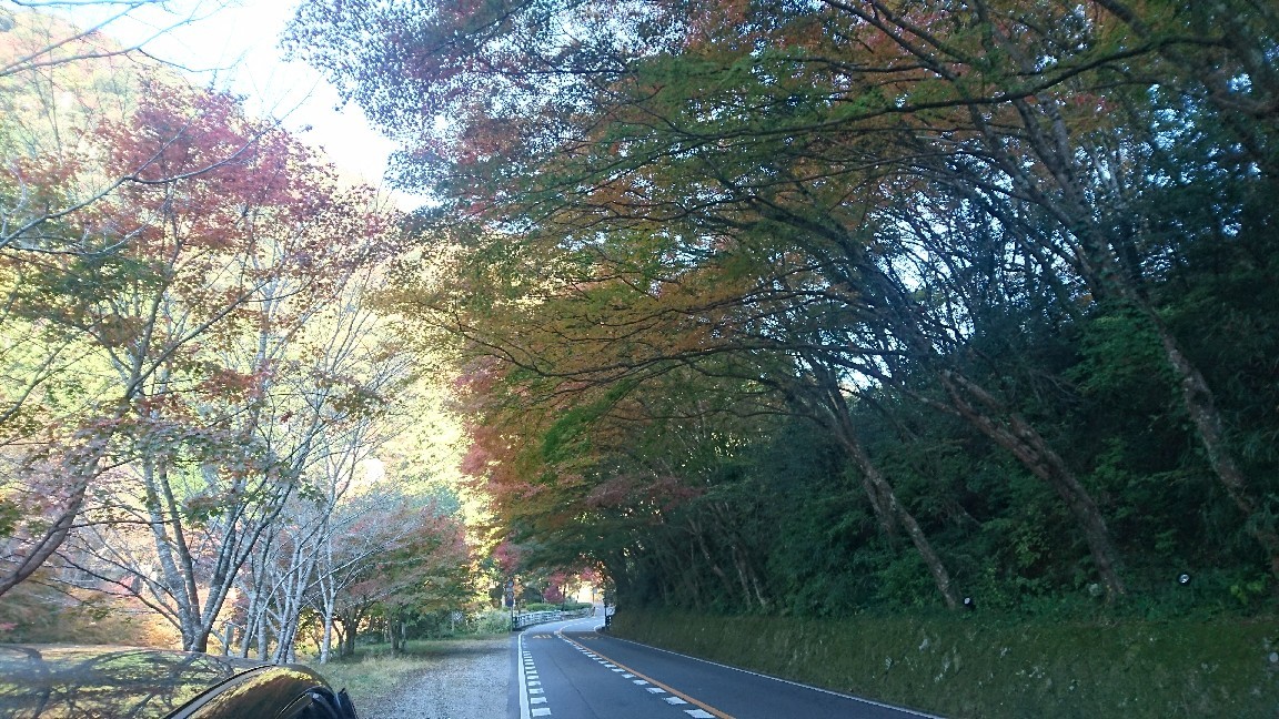 a0201743_10421456.jpg