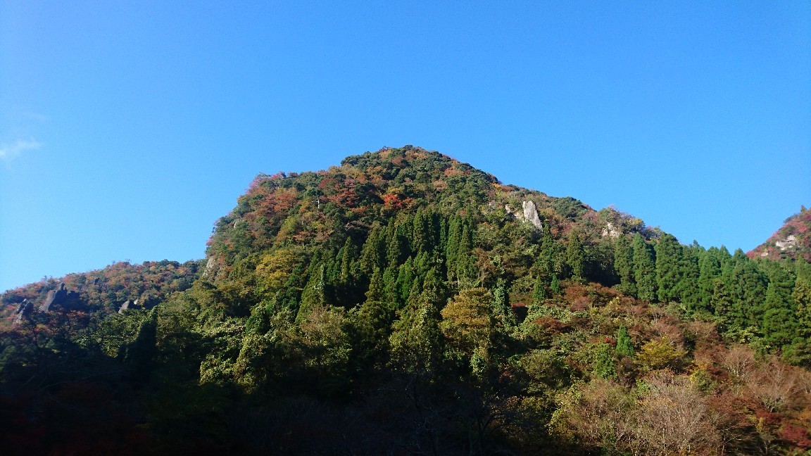 a0201743_10432236.jpg