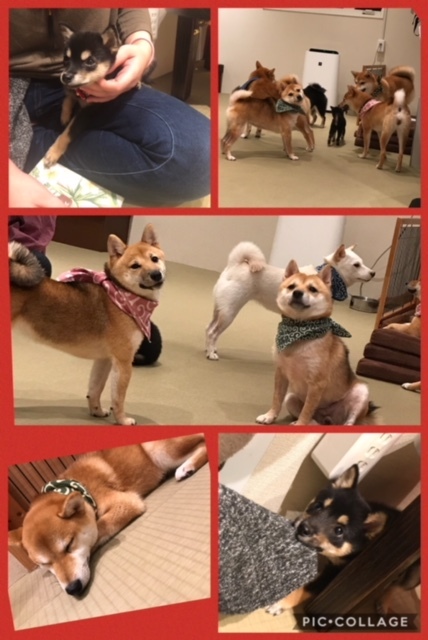 c0154846_13014326.jpeg