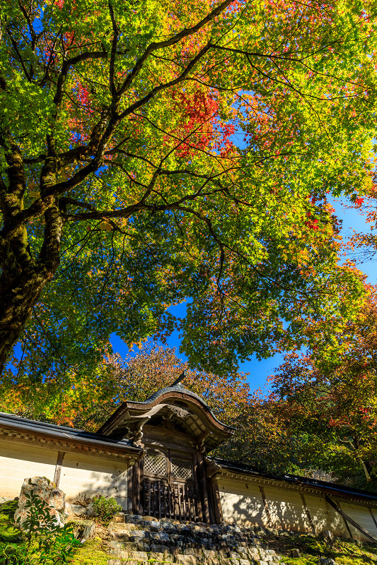 Prologue！京の紅葉2018　染まりゆく常照皇寺_f0155048_013672.jpg