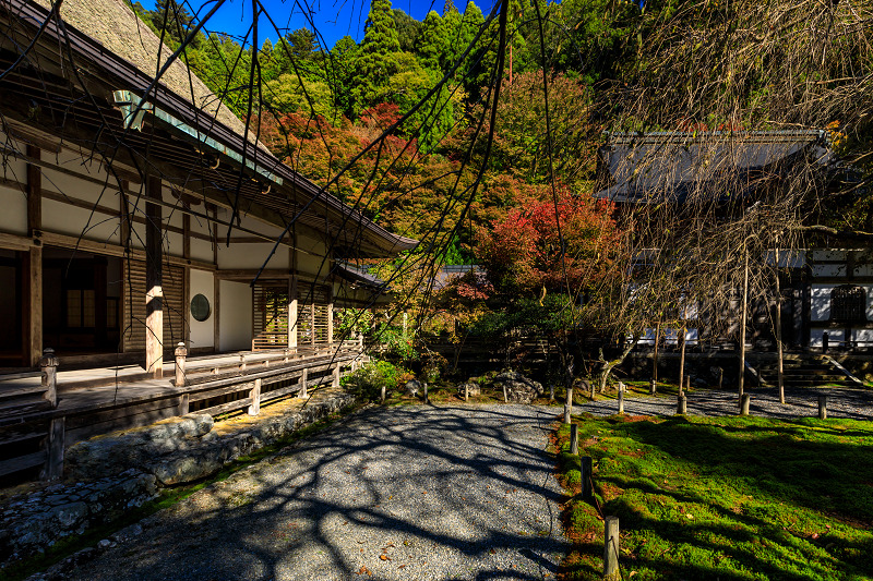 Prologue！京の紅葉2018　染まりゆく常照皇寺_f0155048_04235.jpg