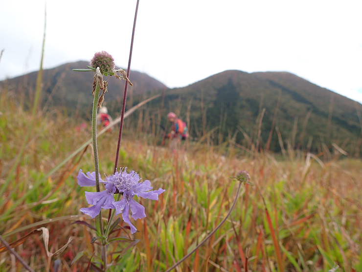f0214649_03281219.jpg