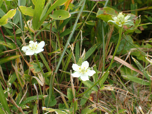 f0214649_03331810.jpg