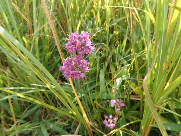 f0214649_03383297.jpg
