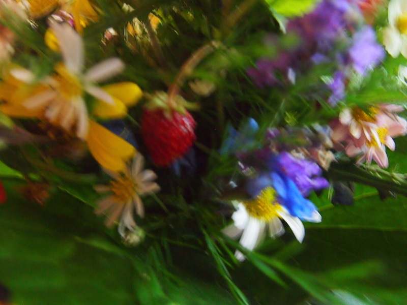 b0396150_10291382.jpg