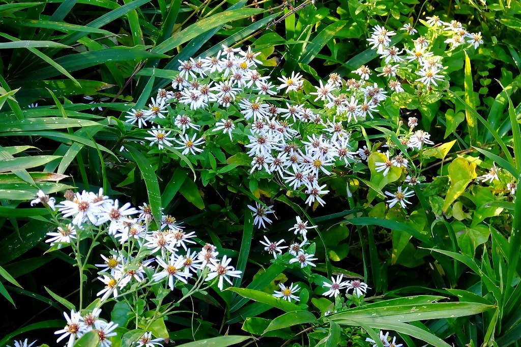 b0236251_10393839.jpg