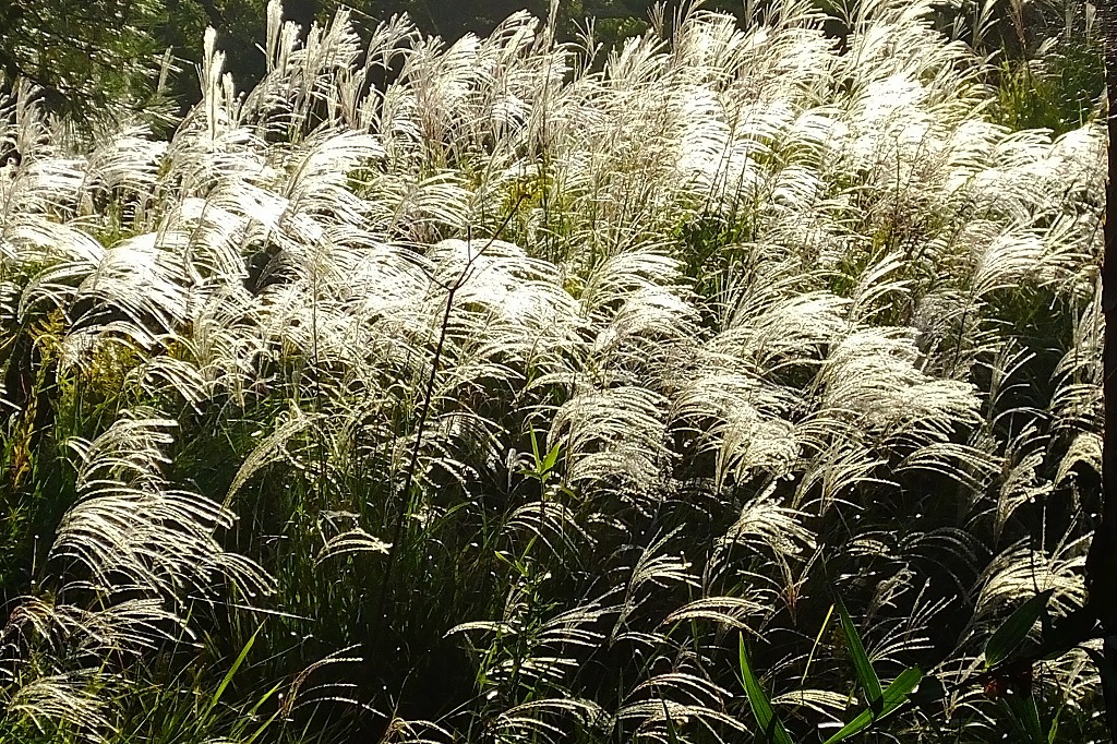 b0236251_10411520.jpg