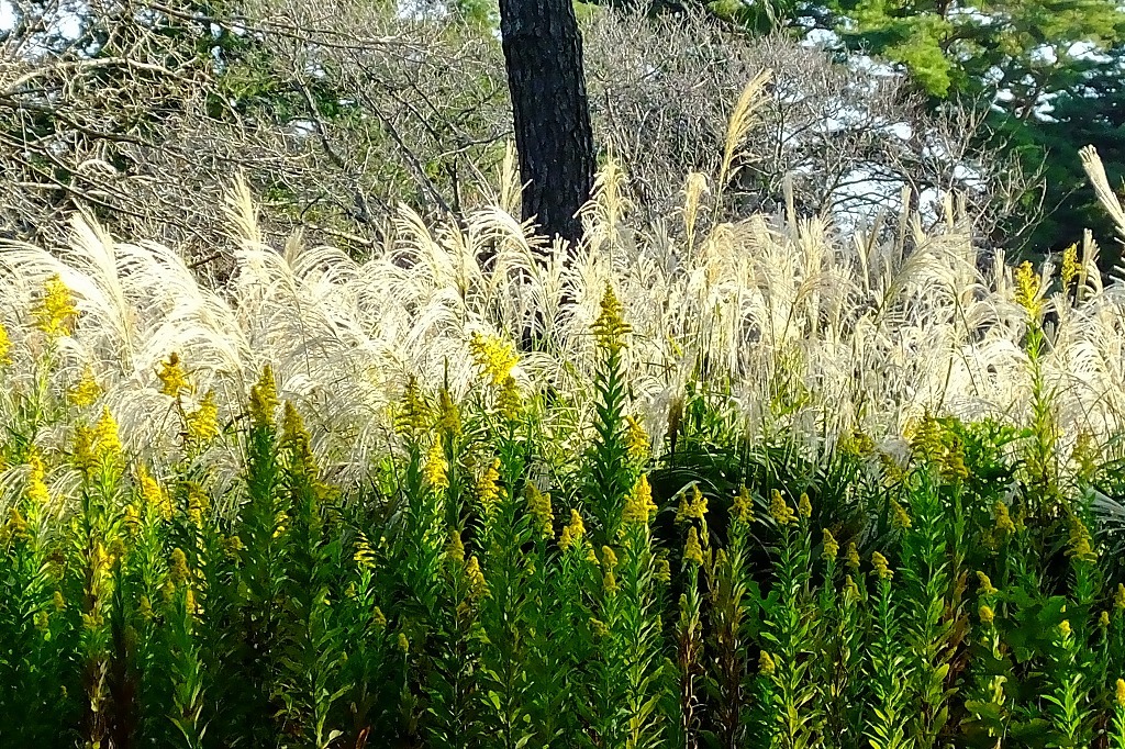 b0236251_10411972.jpg