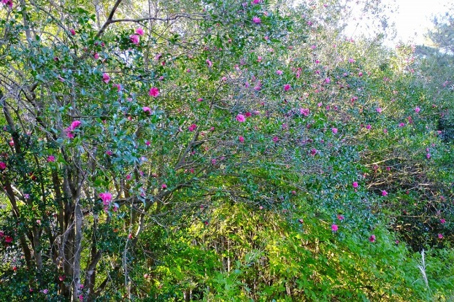 b0236251_10421513.jpg