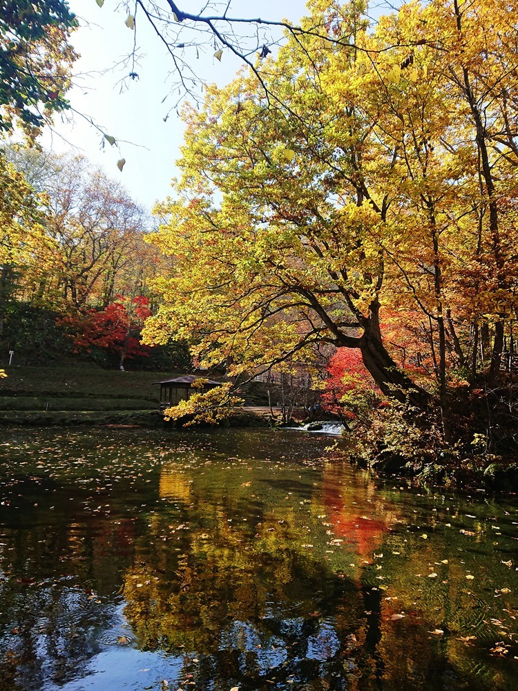 京極町 ふきだし公園_d0039059_08120538.jpg