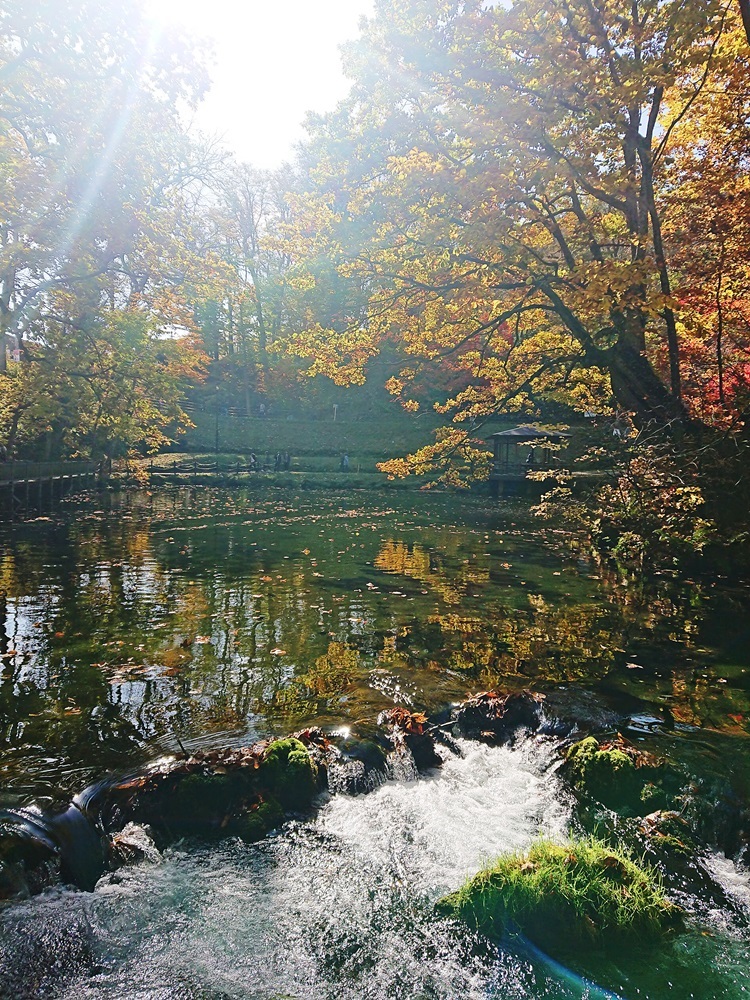 京極町 ふきだし公園_d0039059_08122185.jpg