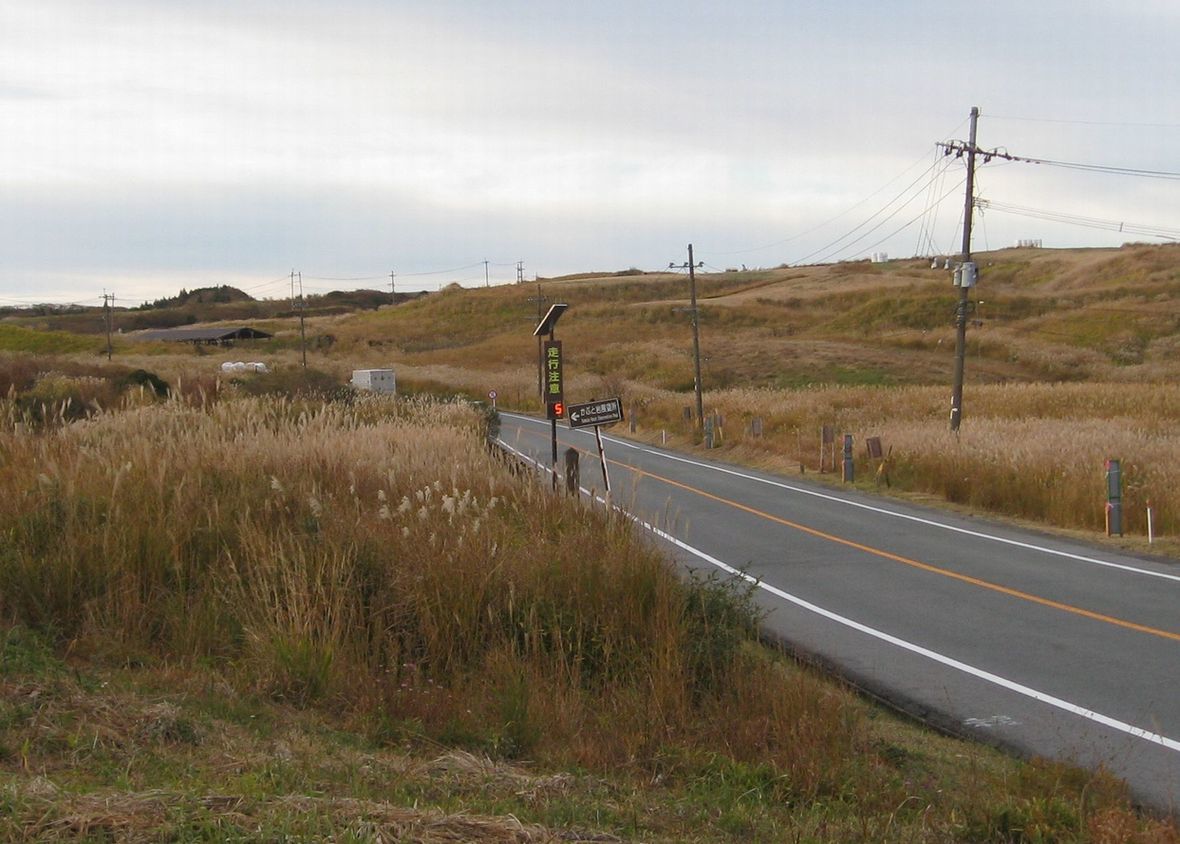 e0126164_23254512.jpg