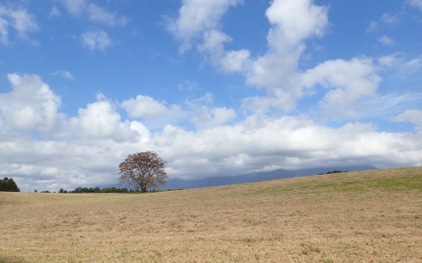 f0350468_07591265.jpg