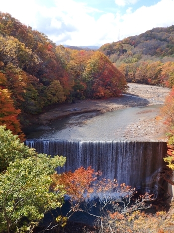f0350468_08041174.jpg