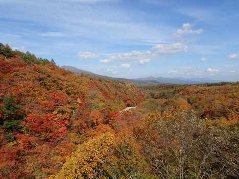 f0350468_08044486.jpg
