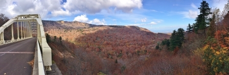 f0350468_08061248.jpg