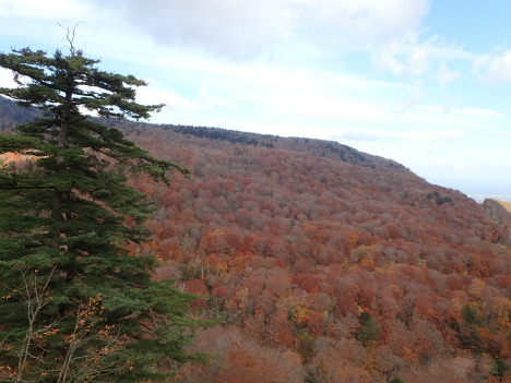 f0350468_08063104.jpg