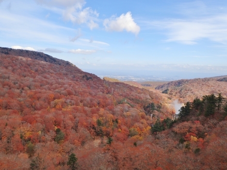 f0350468_08065099.jpg