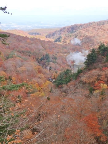 f0350468_08070420.jpg