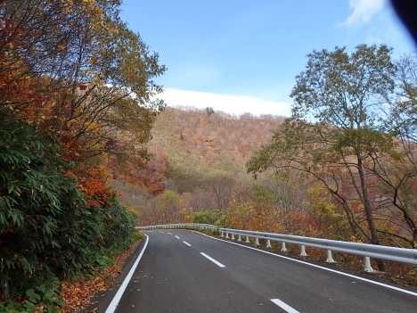 f0350468_08092838.jpg