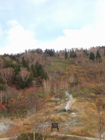 f0350468_08181385.jpg