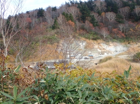 f0350468_08182853.jpg
