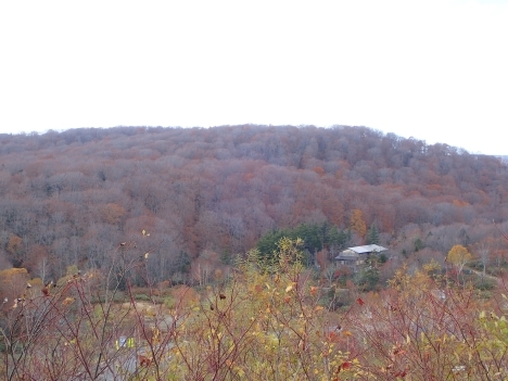 f0350468_08194564.jpg