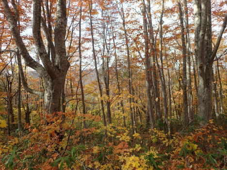 f0350468_08202396.jpg