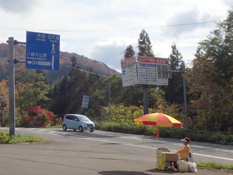 f0350468_08204678.jpg