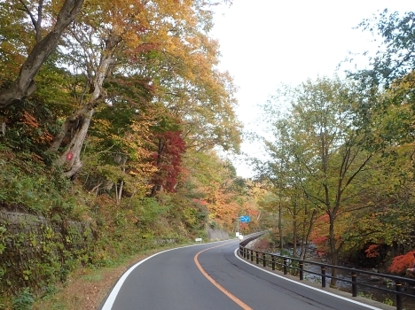 f0350468_08344809.jpg