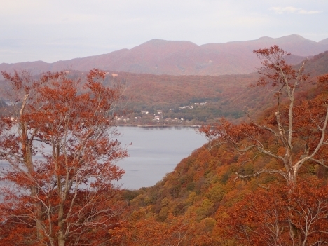 f0350468_08371132.jpg