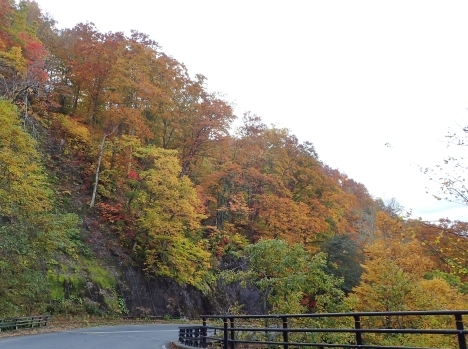 f0350468_08411977.jpg