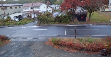 f0350468_11053114.jpg