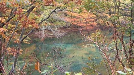f0350468_11105456.jpg