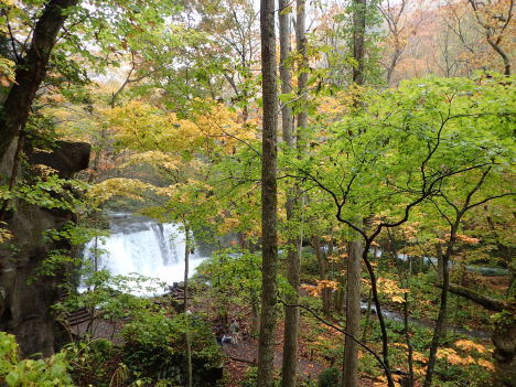 f0350468_11114512.jpg