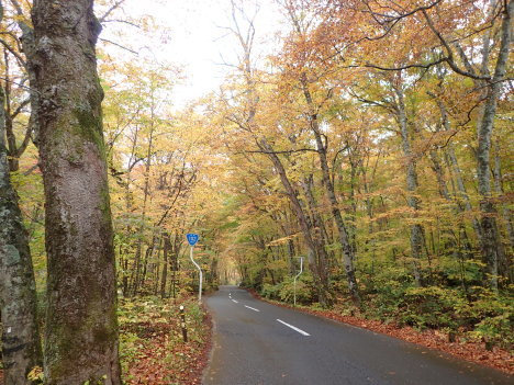 f0350468_11115863.jpg