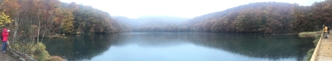 f0350468_11260222.jpg