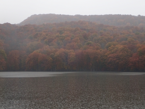 f0350468_11264578.jpg